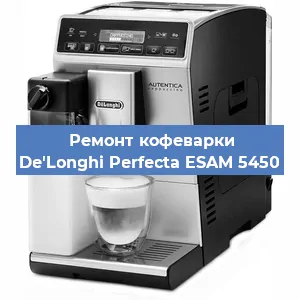 Чистка кофемашины De'Longhi Perfecta ESAM 5450 от кофейных масел в Волгограде
